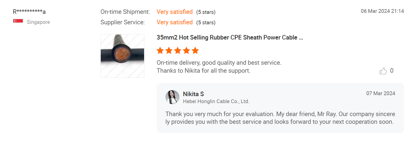 Customers in Singapore praise our single-core rubber sheathed wires and excellent service